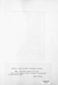 Synchytrium anemones image
